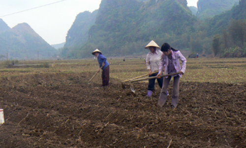 Chi Lăng phát huy vai trò của MTTQ trong xây dựng chính quyền và thực hiện dân chủ ở cơ sở