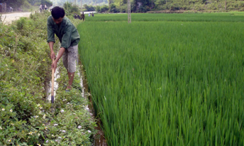 Đảng bộ xã Yên Phúc: Lãnh đạo phát triển kinh tế, gắn với công tác xây dựng Đảng