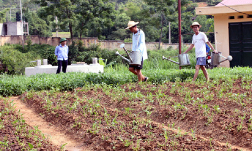 Trung tâm chữa bệnh - giáo dục - lao động xã hội tỉnh: Còn nhiều khó khăn trong công tác cai nghiện