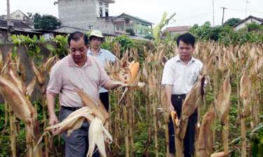 Chi Lăng: Những chuyển biến từ công tác xóa đói giảm nghèo