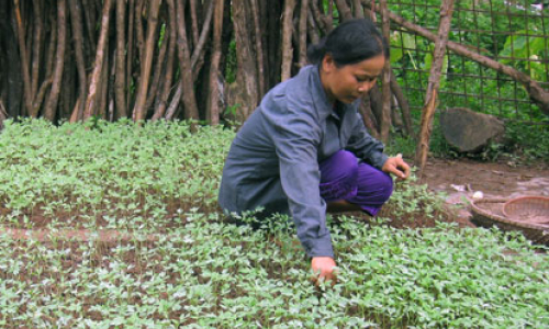 Đảng bộ xã Hữu Vĩnh: Nâng cao vai trò lãnh đạo, chỉ đạo trong phát triển KT-XH