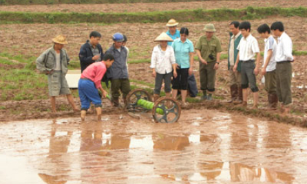 Sản xuất đông xuân 2010 - 2011: Giá giống tăng cao - chủ động giảm chi phí sản xuất