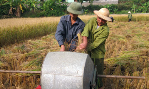 Tràng Định: Thu mùa, đẩy nhanh sản xuất vụ đông