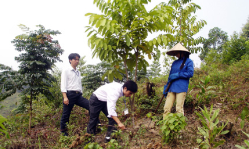 Chương trình 135 giai đoạn II ở Lạng Sơn: Những kết quả thiết thực