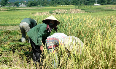 Nông nghiệp Tràng Định: Vững vàng vượt khó