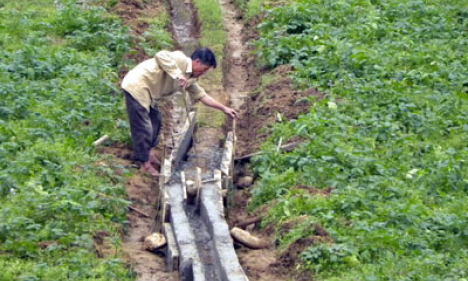 Văn Lãng: Dồn lực cho vụ xuân