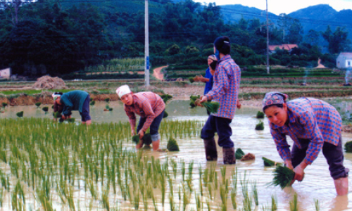 Hội Phụ nữ xã Vân Mộng: Với phong trào giúp nhau phát triển kinh tế