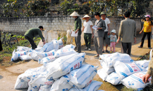 Sản xuất vụ xuân ở Chi Lăng: Đẩy nhanh tiến độ sau rét