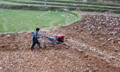 Lộc Bình đẩy nhanh sản xuất vụ xuân