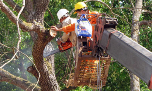 Đảm bảo điện cho ngày bầu cử