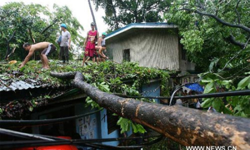 11 người Philippines thiệt mạng vì bão Meari