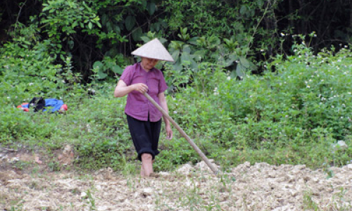 Giảm nghèo ở Gia Miễn còn lắm gian nan