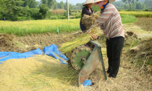 Văn Quan: Tập trung thu xuân, làm mùa