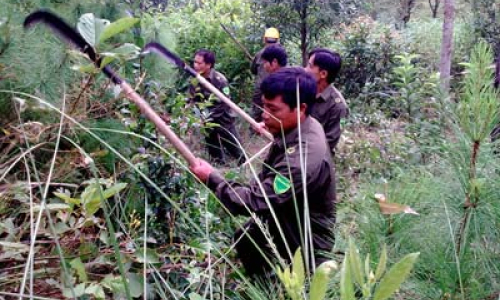 Tràng Định 10 năm thực hiện Luật Phòng cháy chữa cháy