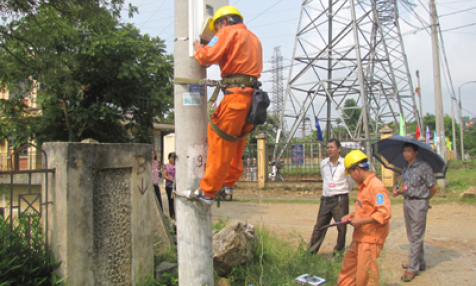 Ghi nhận từ một hội thi