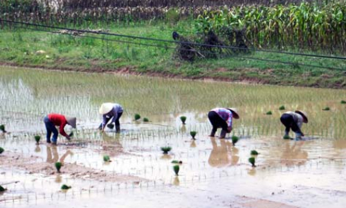 Mong đợi của cử tri