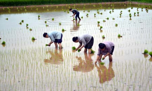 Cao Lộc: Nâng cao năng lực lãnh đạo, sức chiến đấu của tổ chức cơ sở đảng