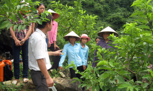 Nông dân Lạng Sơn học tập và làm theo tấm gương đạo đức Hồ Chí Minh