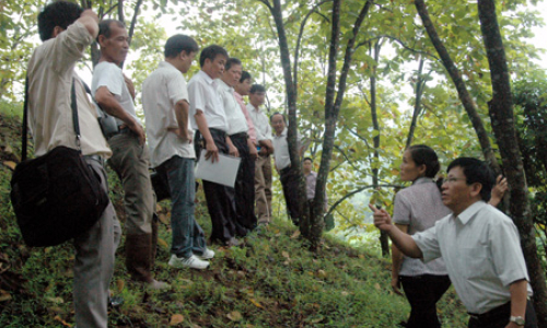 Đảng bộ huyện Văn Lãng: Xây dựng quy hoạch cán bộ gắn với công tác đào tạo bồi dưỡng