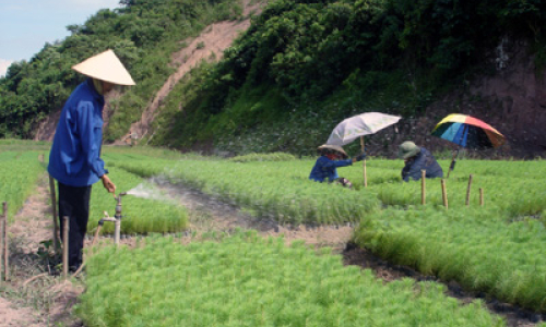 Đình Lập sau 3 năm thực hiện Nghị quyết Trung ương 7 về "Tam nông"