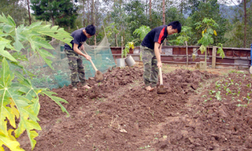 Trung đội Công binh 576 góp phần mở rộng diện tích đất canh tác