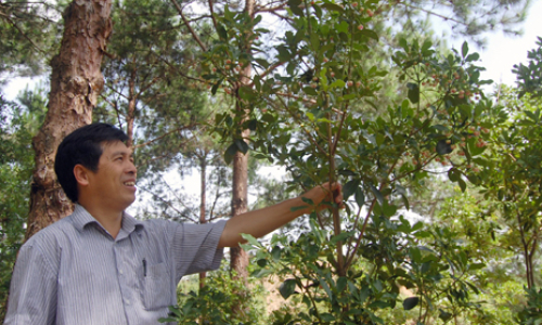 Cho hồi ngát hương