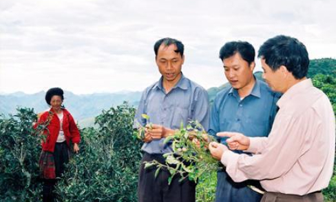 Bắc Yên ngày mới