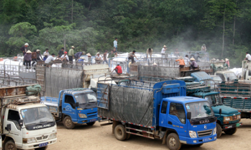 Thúc đẩy hoạt động XNK: Phát huy thế mạnh kinh tế cửa khẩu