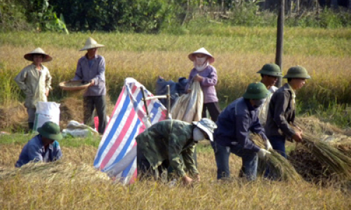 Lạng Sơn: Dồn lực cho sản xuất đông xuân