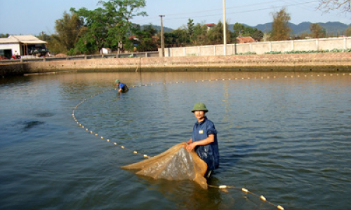 Thủy sản Lạng Sơn: Vững vàng qua khoảng lặng