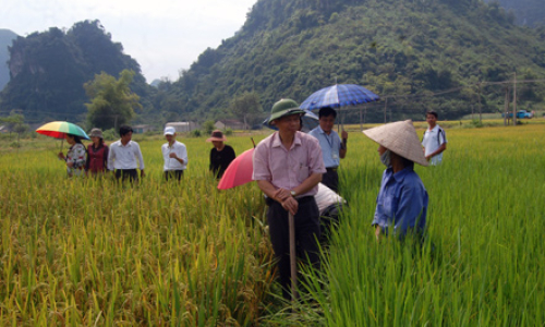 Khuyến nông: Ngày ấy, bây giờ