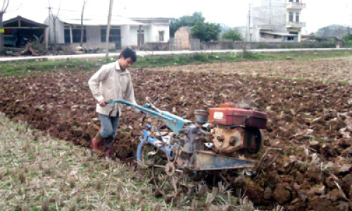 Cao Lộc chủ động sản xuất vụ xuân