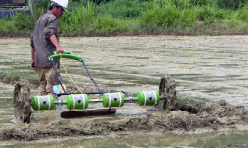 Đẩy mạnh ứng dụng gieo thẳng lúa bằng giàn kéo tay