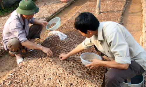 Đào tạo nghề lao động nông thôn ở Bình Gia: Còn nhiều khó khăn