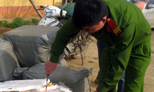 Công an tỉnh Lạng Sơn: Đấu tranh mạnh với hành vi nhập lậu nội tạng "bẩn"