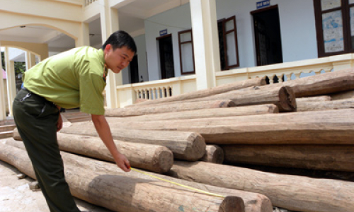 Đình Lập: Tăng cường quản lý, bảo vệ rừng