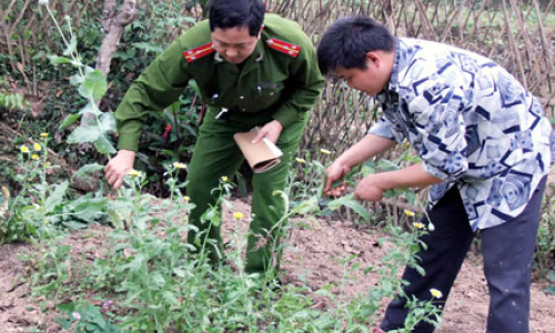 Chống ma túy ở vùng biên: Nơi tuyến đầu Văn Lãng