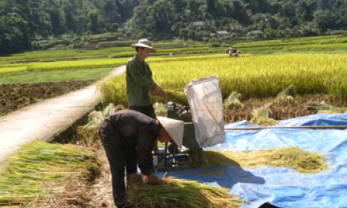 Rộn ràng ngày chuyển vụ