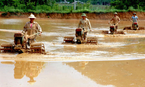 Đưa cơ giới hoá vào sản xuất tạo động lực xây dựng nông thôn mới