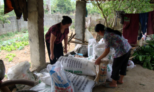 Văn Quan tích cực chăm sóc lúa mùa