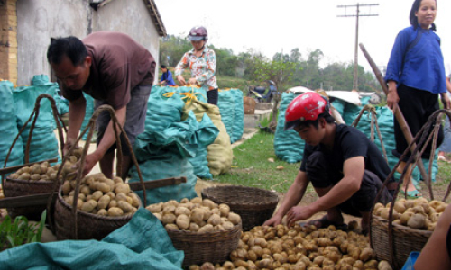 Bức tranh kinh tế 9 tháng đầu năm: Đang rõ tín hiệu phục hồi