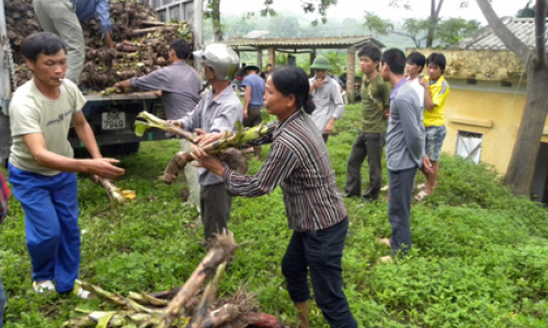 Huy động nguồn lực tổng hợp: Xây dựng nông thôn mới