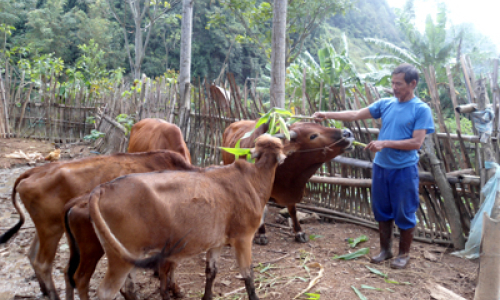 Chuyển biến Lũng Do