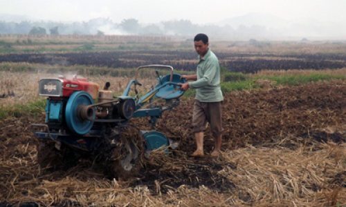 Tràng Định đẩy nhanh tiến độ sản xuất vụ đông