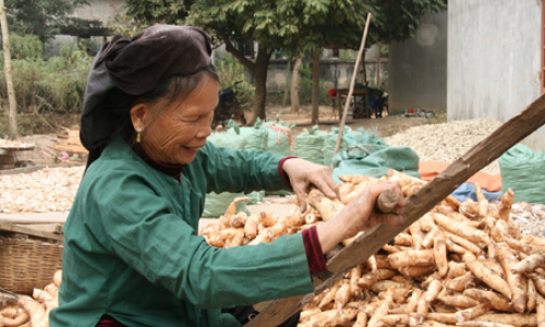 Khoa học - công nghệ: Tiếp tục thâm nhập mạnh mẽ vào sản xuất - đời sống