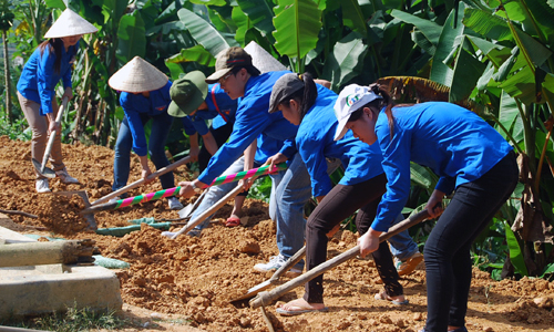 Tuổi trẻ Đoàn Khối các cơ quan tỉnh: Một năm đậm dấu ấn tình nguyện