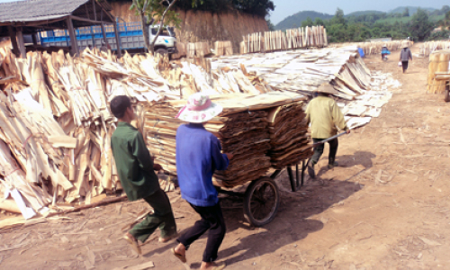 Hữu Lũng - Điểm sáng trong phát triển kinh tế tập thể