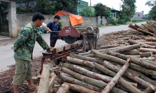 Đòn bẩy cho nghề rừng Hữu Lũng