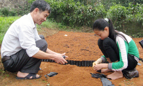 Làm giàu từ ươm cây giống và dịch vụ vận tải