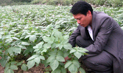 Anh Oánh không cho đất nghỉ